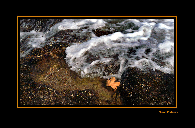 shell, κοχύλι, θάλασσα οίνοψ πόντος, ψιλάκης, psilakis